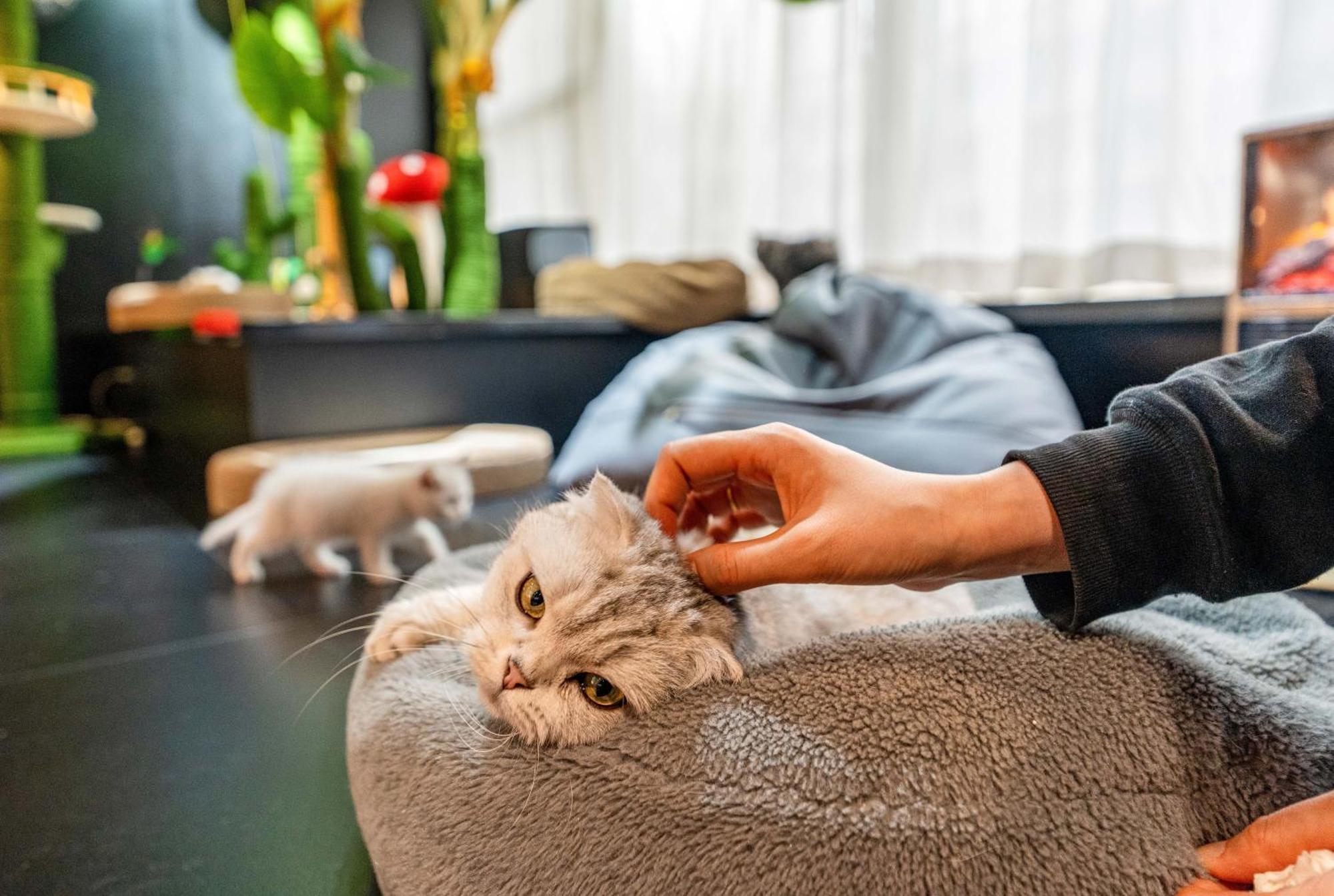 Hesu Designer Hotel & Suites -Near Xi'An Drum Tower And Yongning Gate -Free Laundry Luggage Storage -Kitty Cafe With Freshly Ground Coffee -24H Front Desk -English Service -Exclusive Subsidies For Dumpling Banquet & Show Exterior foto