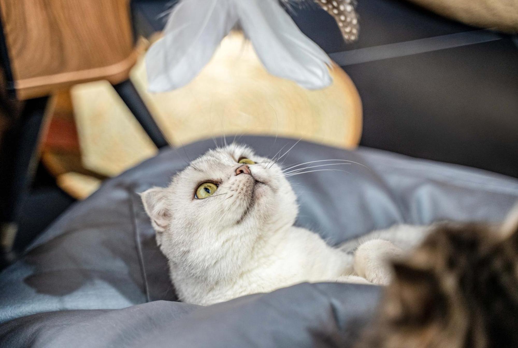 Hesu Designer Hotel & Suites -Near Xi'An Drum Tower And Yongning Gate -Free Laundry Luggage Storage -Kitty Cafe With Freshly Ground Coffee -24H Front Desk -English Service -Exclusive Subsidies For Dumpling Banquet & Show Exterior foto